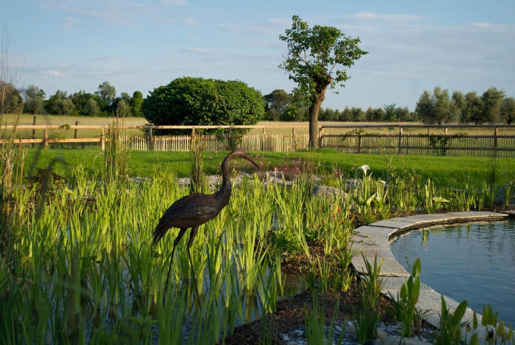 Penzion Agriturismo La Breda San Felice del Benaco Exteriér fotografie